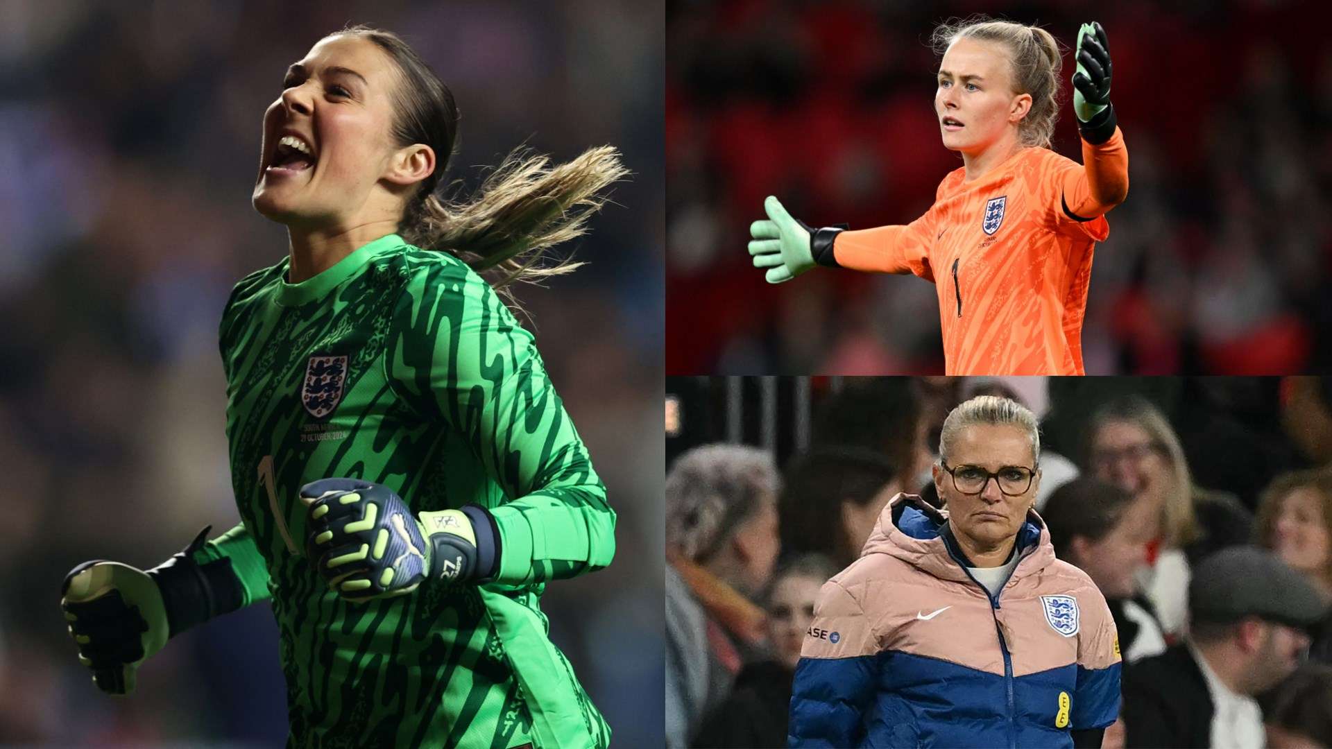 这为未来的 这为未来的